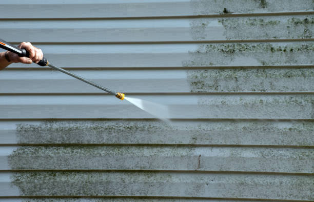 Best Roof Power Washing Services  in Buena Vista, MI