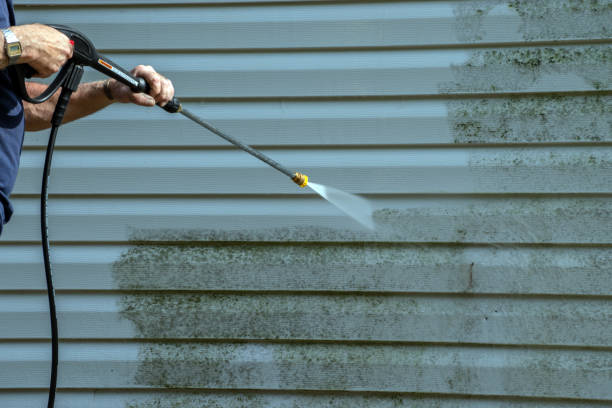 Best Best Pressure Washing Companies  in Buena Vista, MI