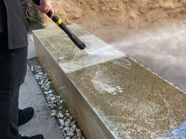 Best Residential Pressure Washing Services  in Buena Vista, MI