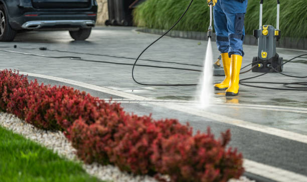 Best Pressure Washing Near Me  in Buena Vista, MI