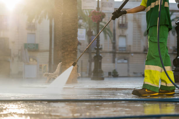 Best House Pressure Washing  in Buena Vista, MI